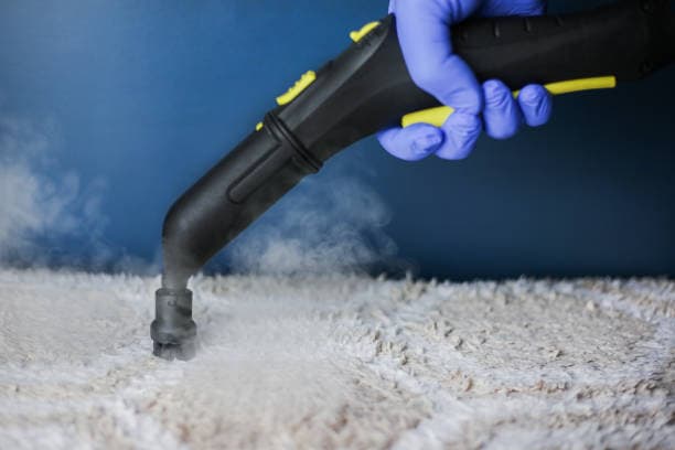 Steam Cleaning